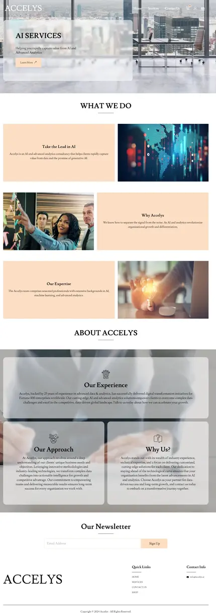 Accelys.co - AI & Advanced Analytics WordPress Website Development by M Daniyal
