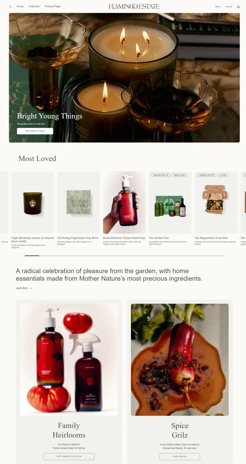 Practice eStore - Shopify Layout Recreated in Custom HTML by M Daniyal